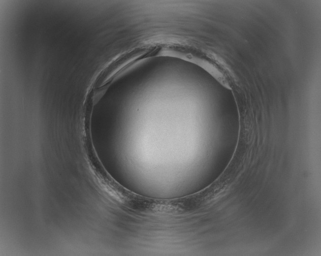 X0000073410399200608181100