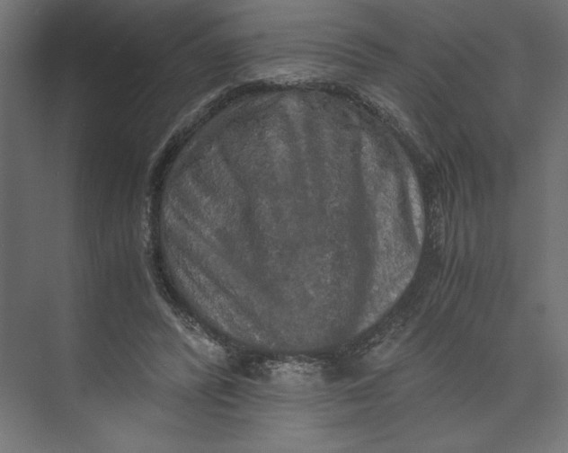 X0000073410400200608181100