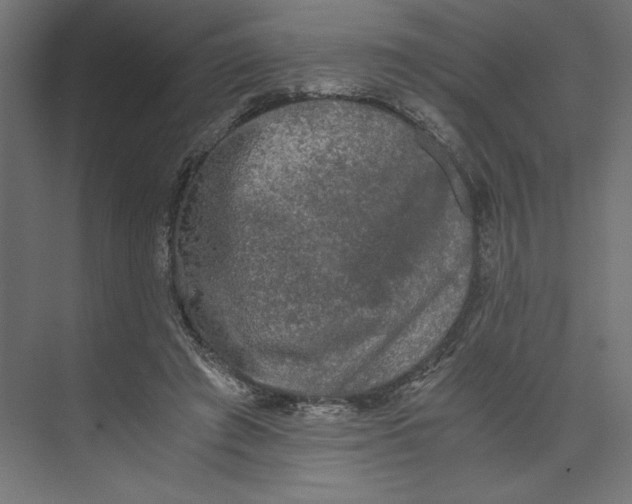 X0000073410401200608181100