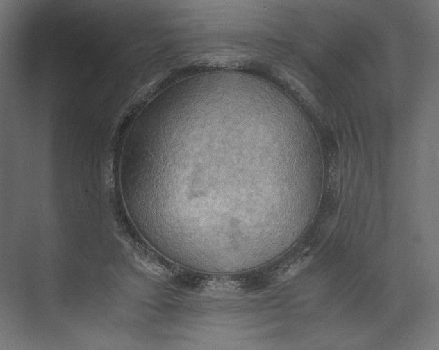 X0000073410403200608181100