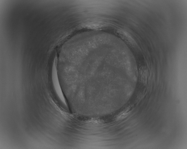 X0000073410404200608181100