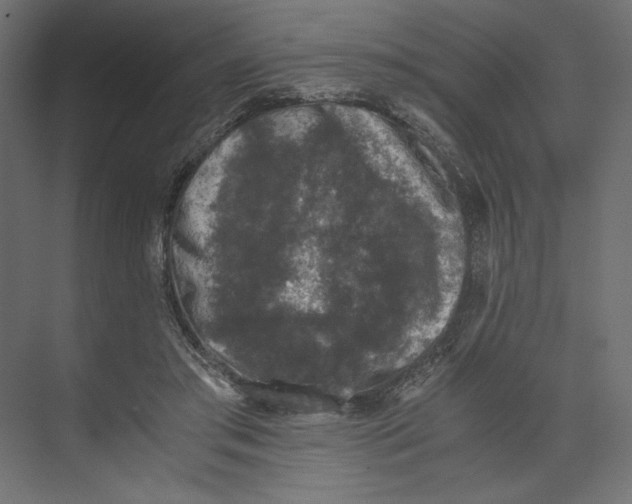 X0000073410405200608181100