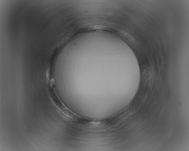 X0000073410406200608181100