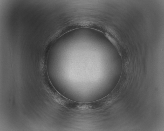 X0000073410407200608181100