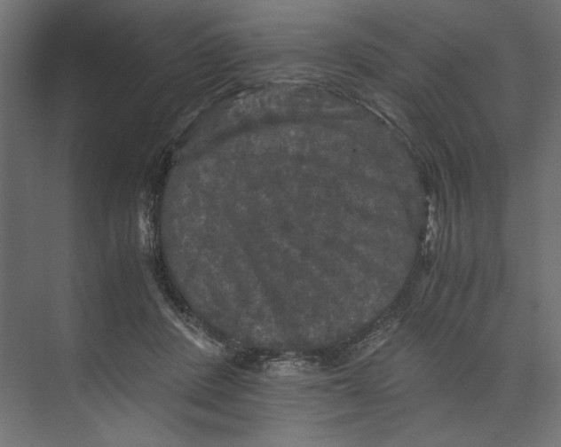 X0000073410408200608181100