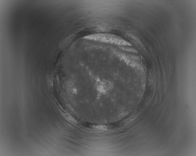 X0000073410409200608181100