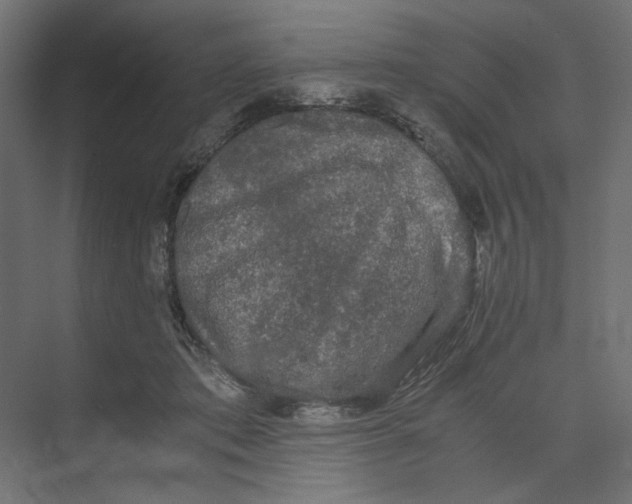 X0000073410413200608181100