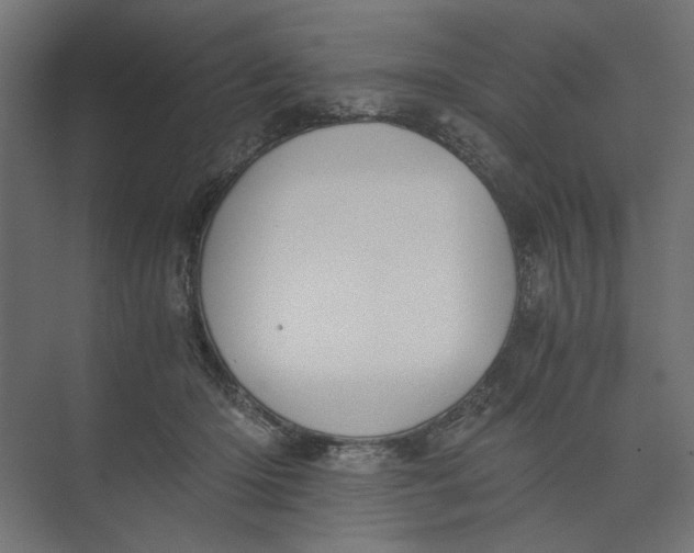 X0000073410414200608181100