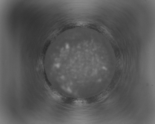 X0000073410415200608181100