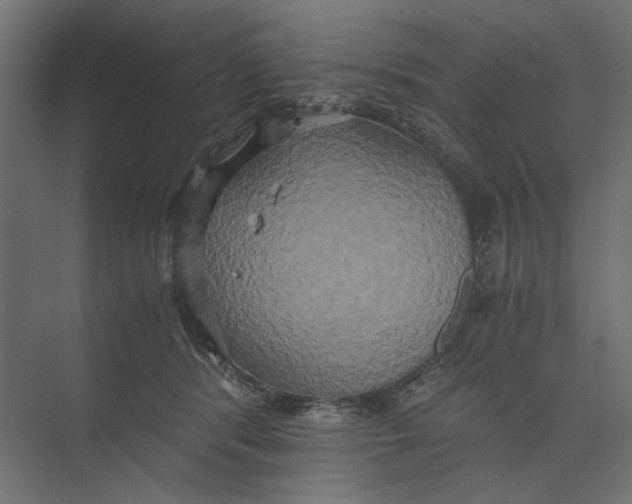 X0000073410416200608181100