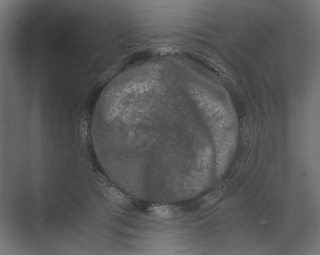 X0000073410417200608181100