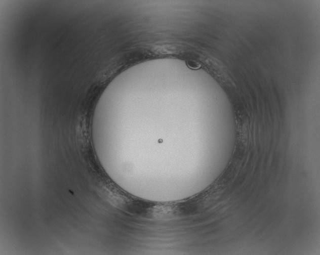 X0000073410418200608181100