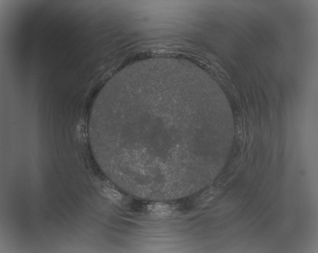 X0000073410419200608181100