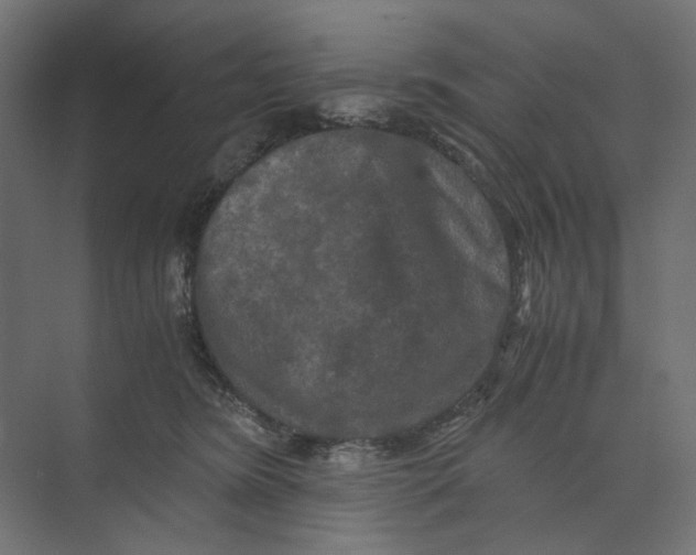 X0000073410420200608181100