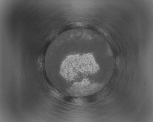 X0000073410423200608181100