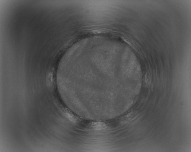 X0000073410424200608181100