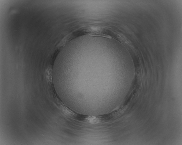 X0000073410425200608181100