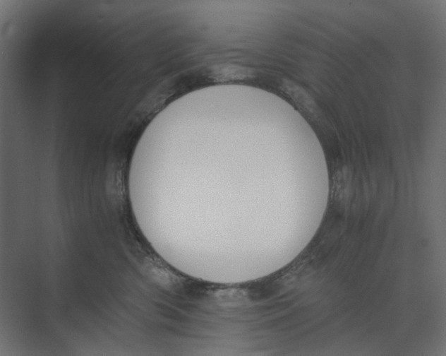 X0000073410426200608181100