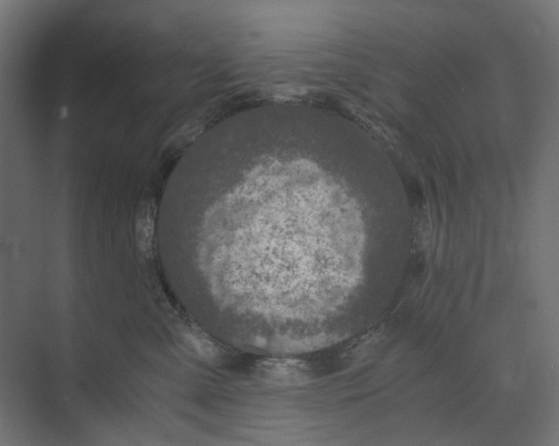 X0000073410427200608181100