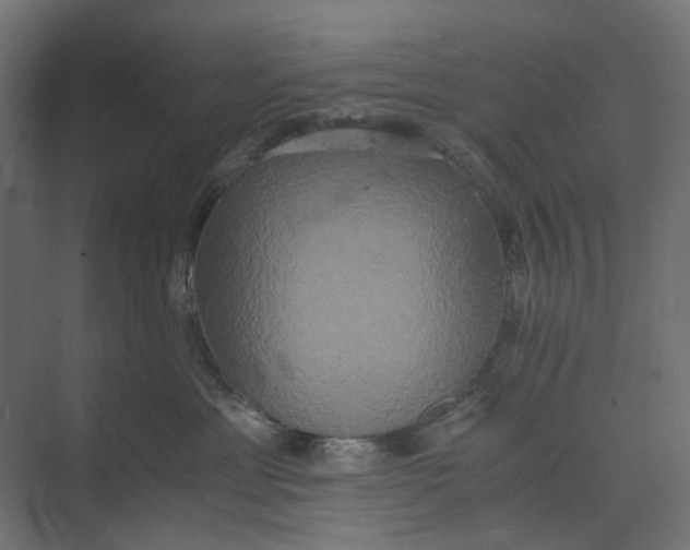 X0000073410429200608181100