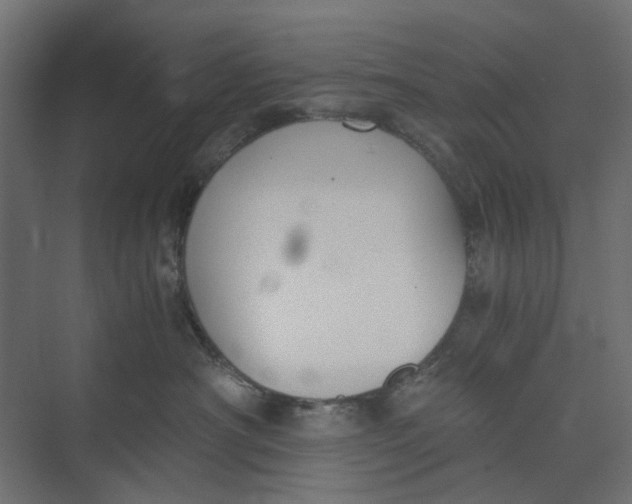 X0000073410430200608181100