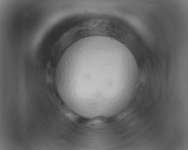 X0000073410431200608181100