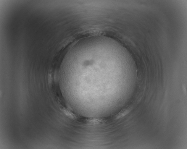 X0000073410432200608181100