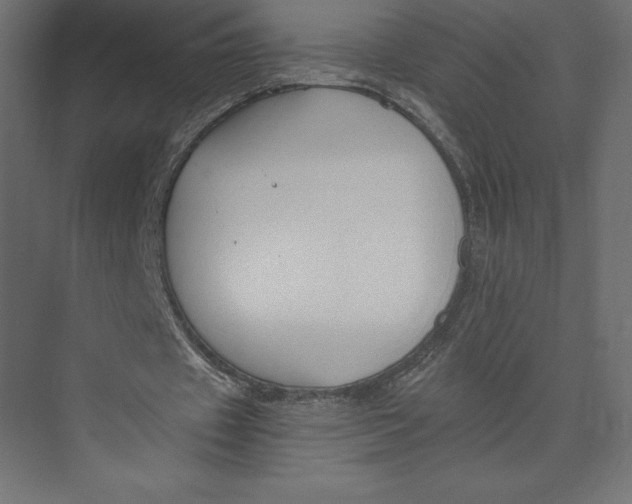 X0000073410433200608181059