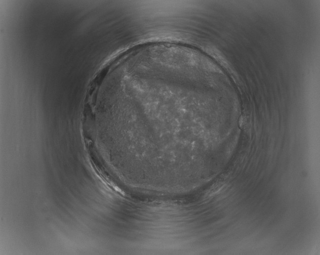 X0000073410434200608181059