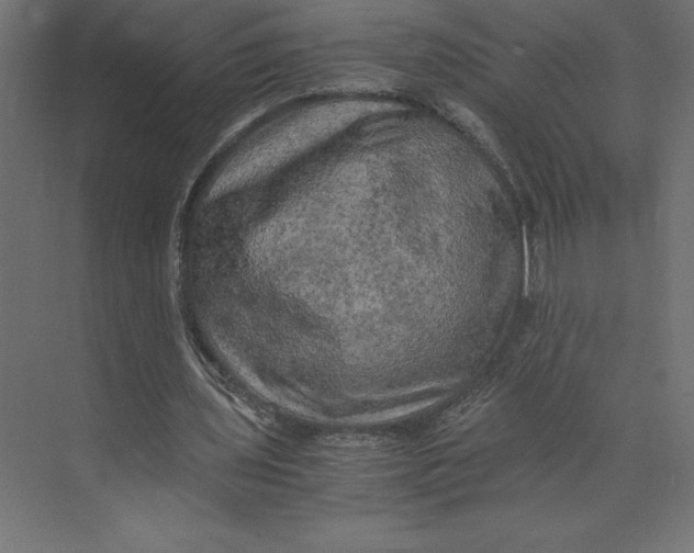 X0000073410435200608181059