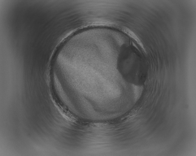 X0000073410436200608181059