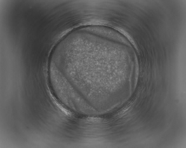 X0000073410437200608181059