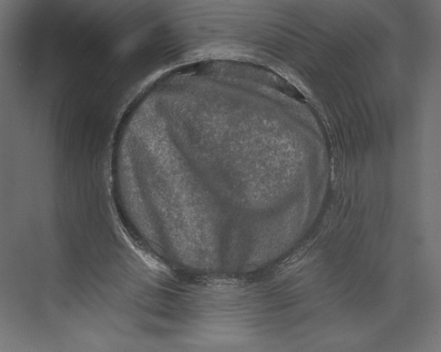 X0000073410438200608181059