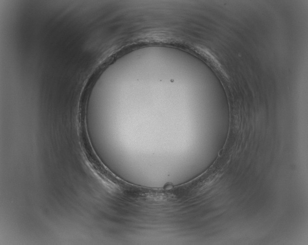 X0000073410439200608181059