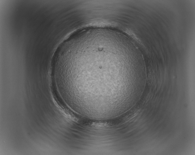 X0000073410440200608181059