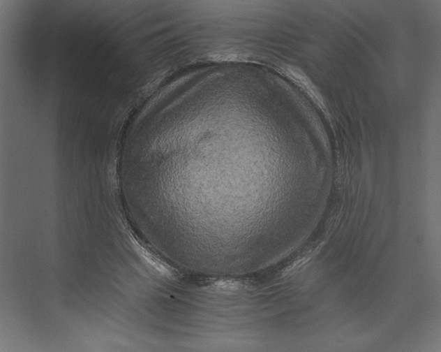 X0000073410441200608181059