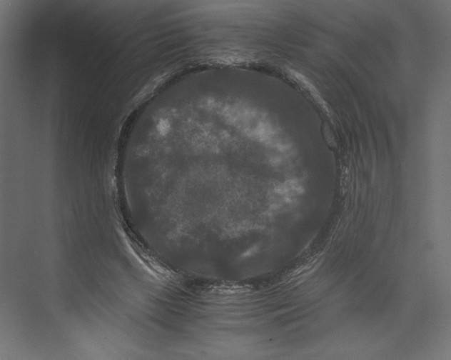 X0000073410443200608181059