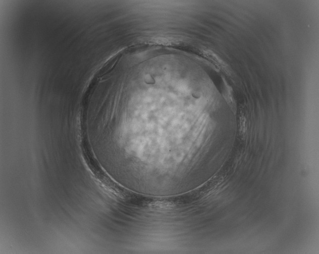 X0000073410444200608181059