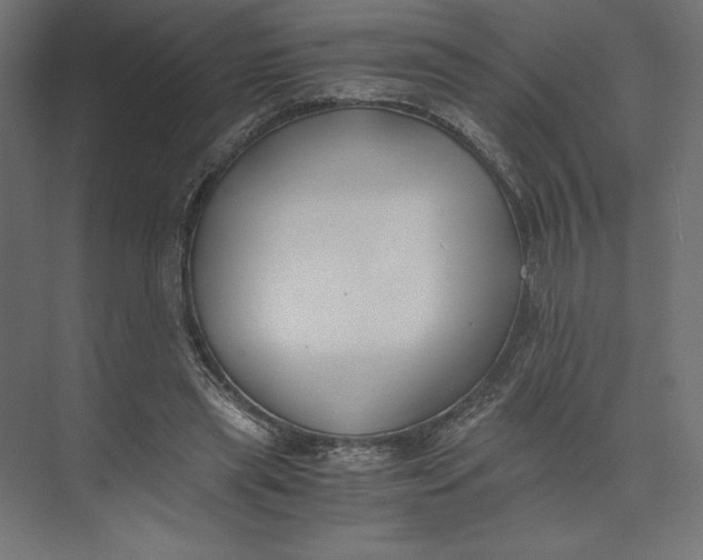 X0000073410445200608181059