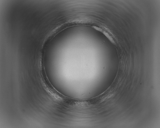 X0000073410446200608181059