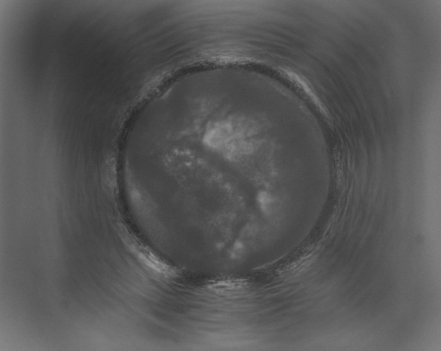 X0000073410447200608181059