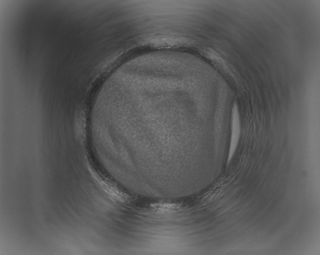 X0000073410448200608181059