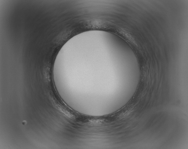 X0000073410450200608181059