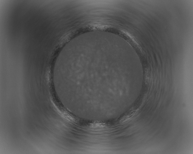 X0000073410451200608181059