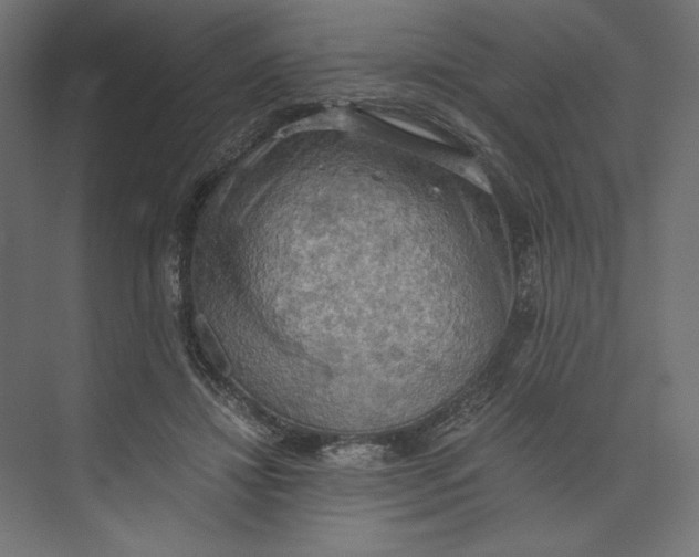 X0000073410452200608181059