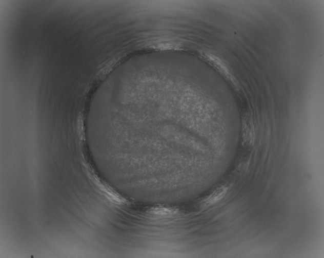 X0000073410453200608181059