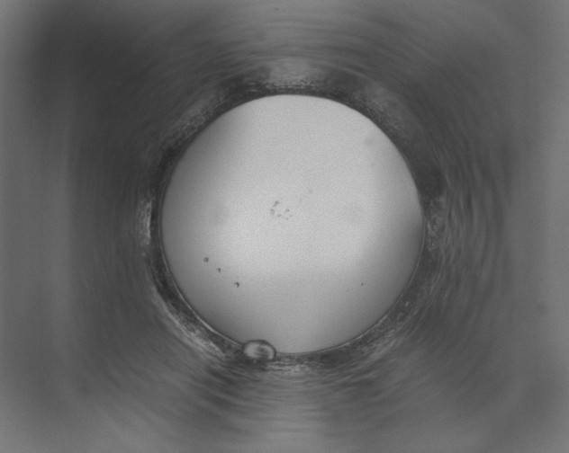 X0000073410454200608181059