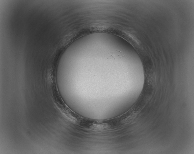 X0000073410455200608181059