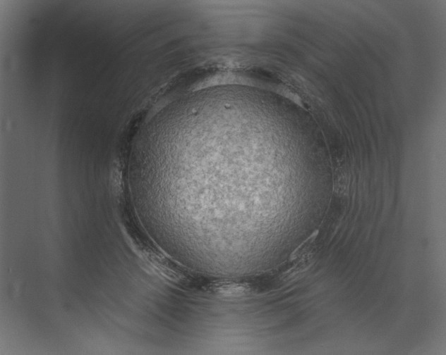 X0000073410456200608181059