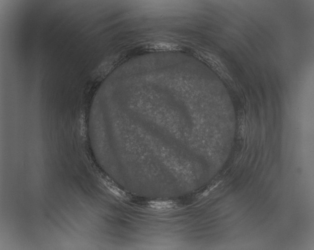 X0000073410457200608181059